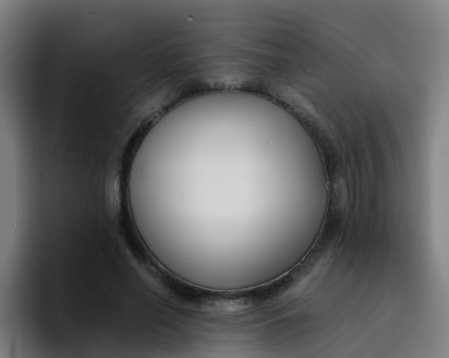 X0000094910638200712061049
