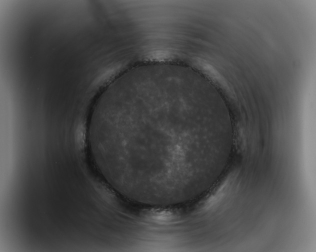 X0000094910640200712061049