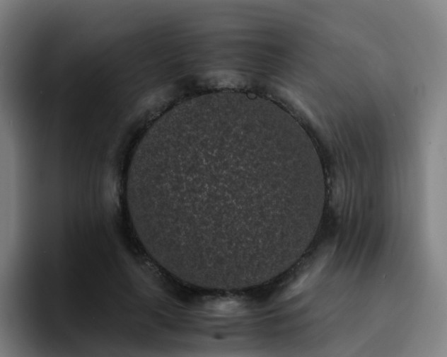 X0000094910643200712061049