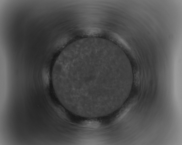 X0000094910644200712061049