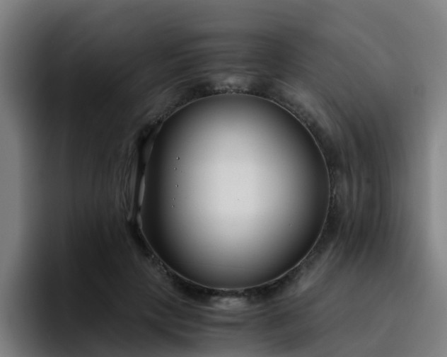 X0000094910649200712061049