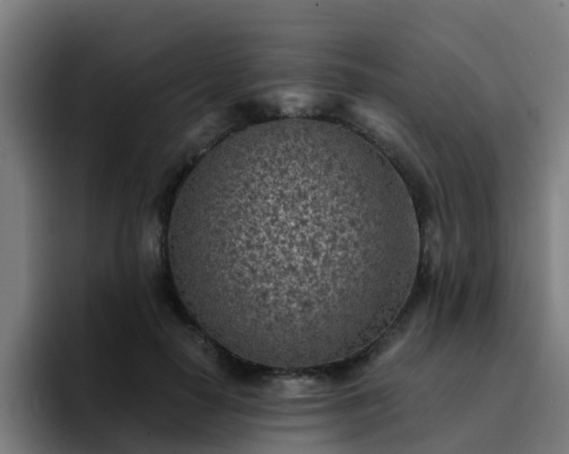 X0000094910650200712061049