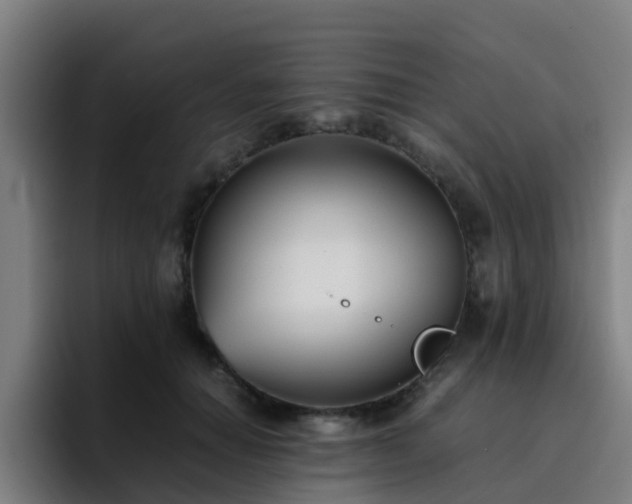 X0000094910654200712061050