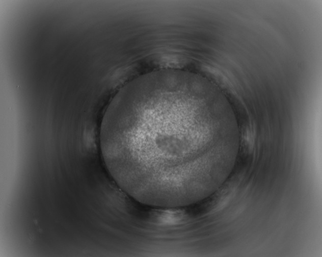 X0000094910663200712061050