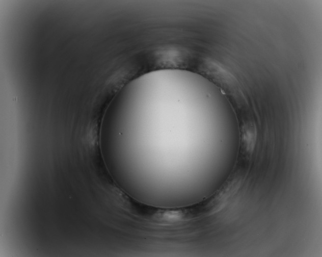 X0000094910665200712061050