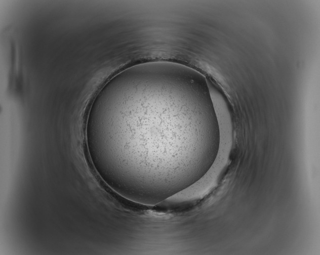 X0000094910673200712061049