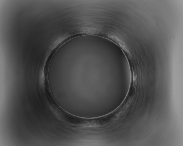X0000094910674200712061049