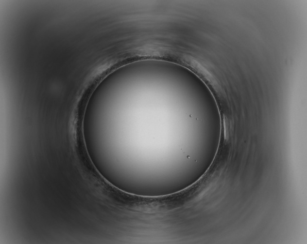 X0000094910675200712061049