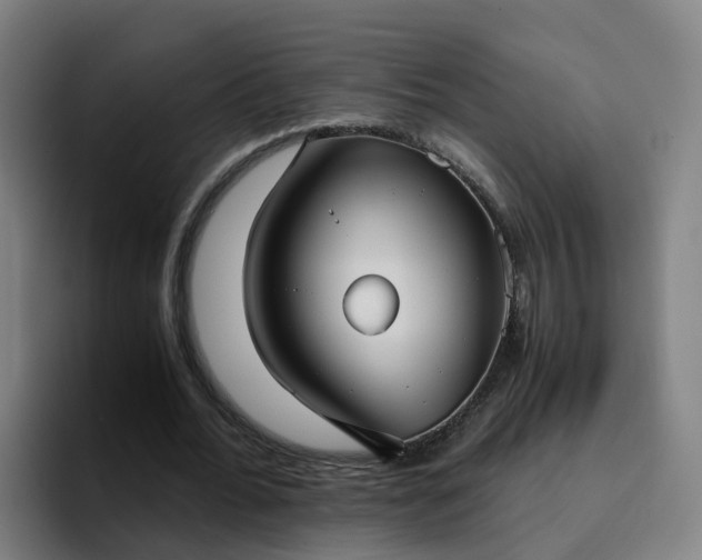X0000094910676200712061049