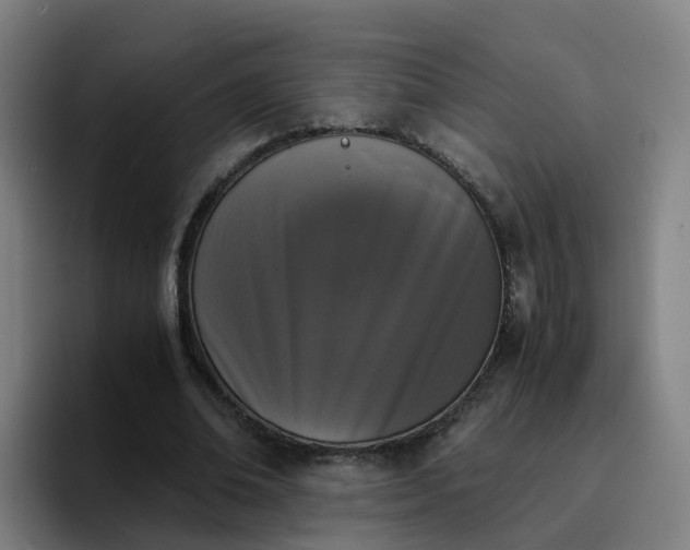 X0000094910678200712061049