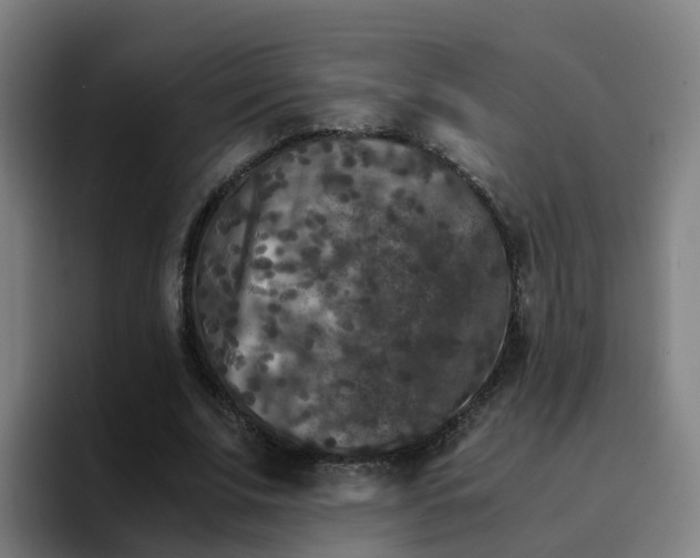 X0000094910679200712061049