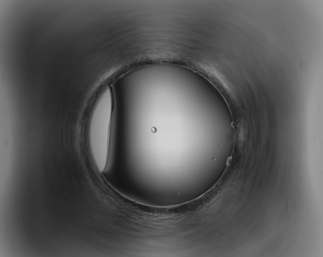 X0000094910684200712061049