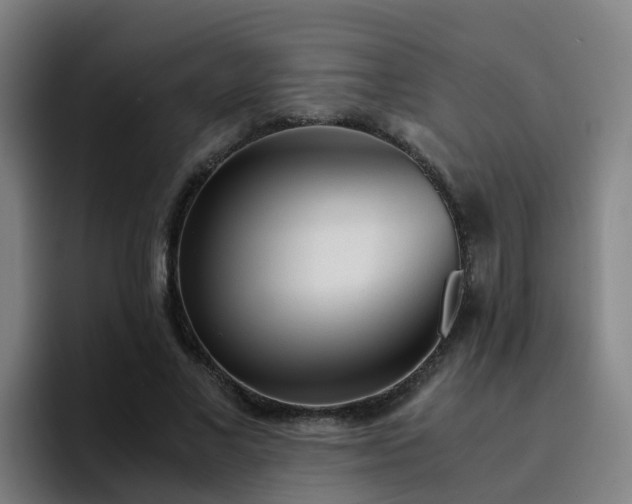 X0000094910685200712061049
