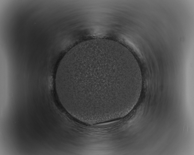 X0000094910689200712061049