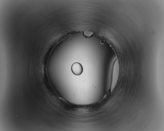 X0000094910692200712061049