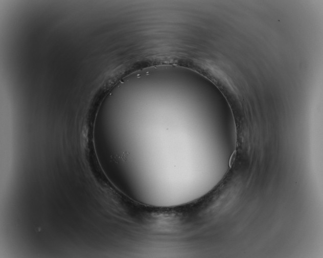 X0000094910693200712061049