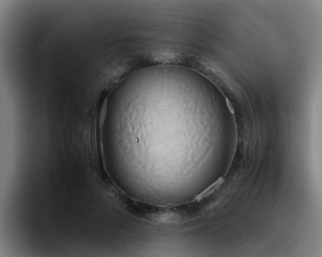 X0000094910696200712061049