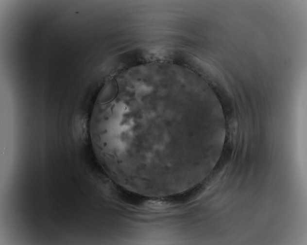 X0000094910699200712061049