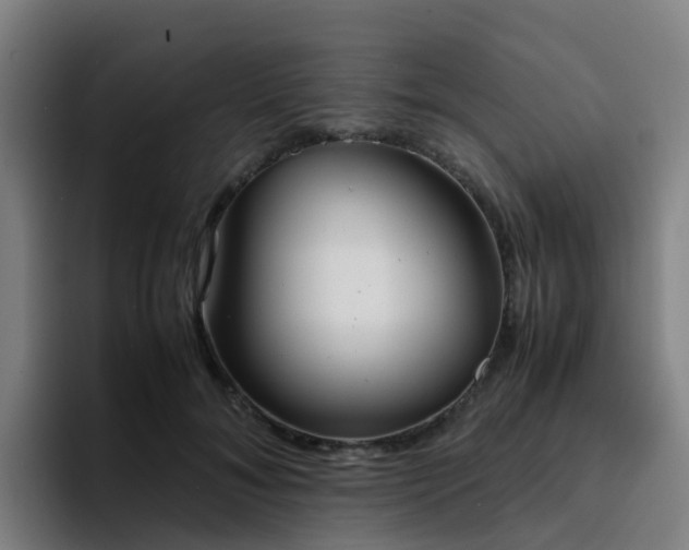 X0000094910700200712061049