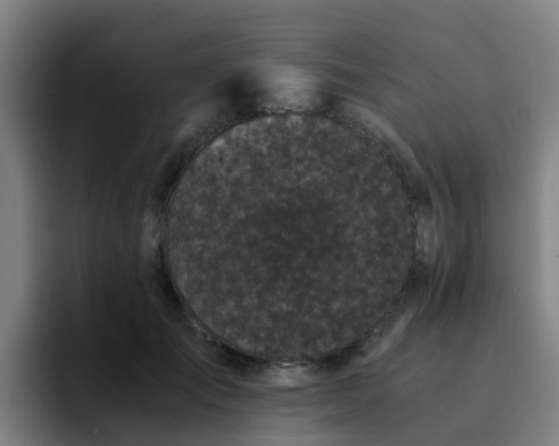 X0000094910701200712061049
