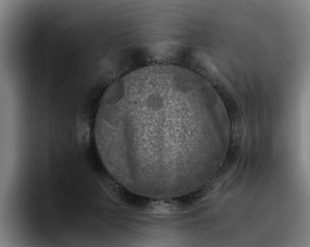 X0000094910703200712061049