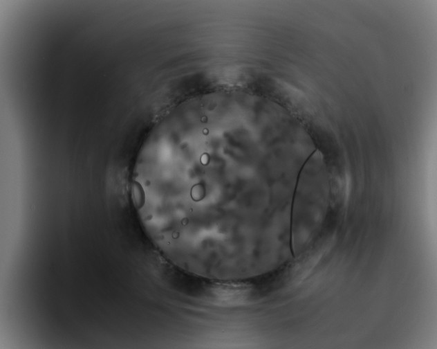 X0000094910707200712061049
