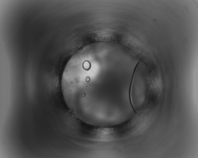 X0000094910711200712061049