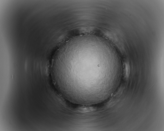 X0000094910712200712061049