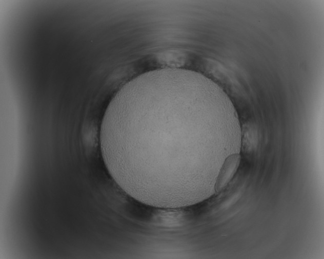 X0000094910713200712061049