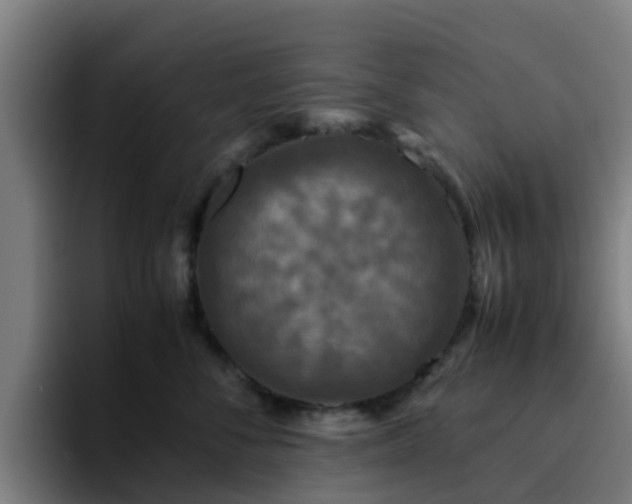 X0000094910716200712061049