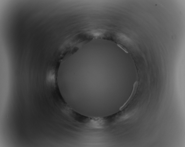 X0000094910720200712061049