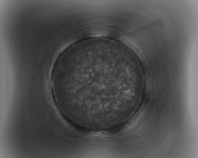 X0000094910721200712061048