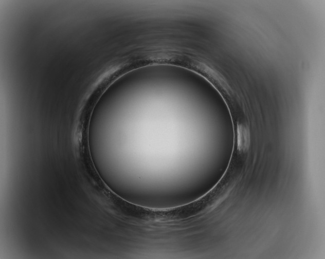 X0000094910723200712061048