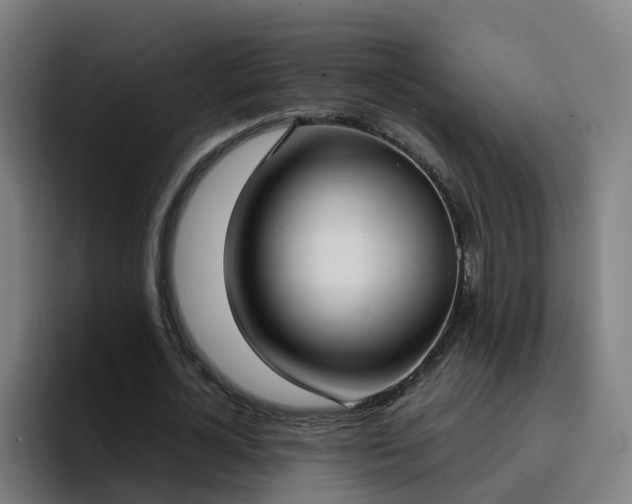 X0000094910724200712061048