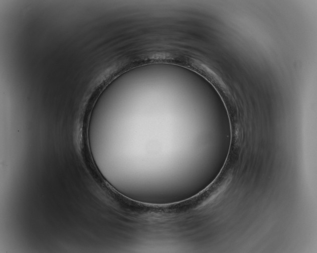 X0000094910725200712061048