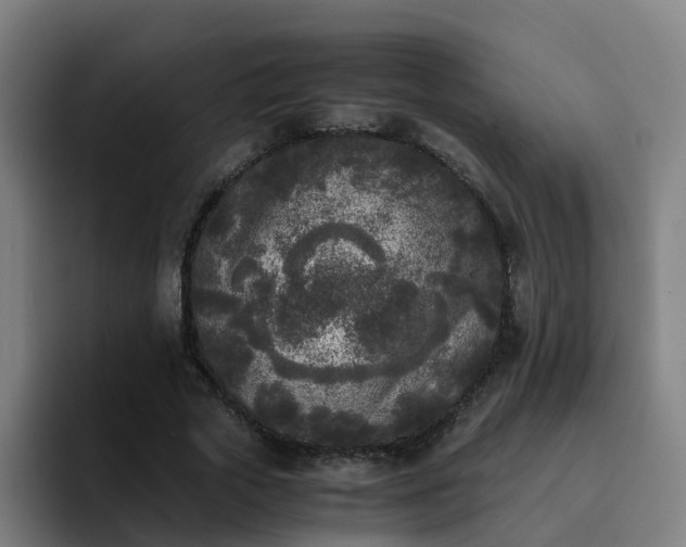 X0000094910729200712061048