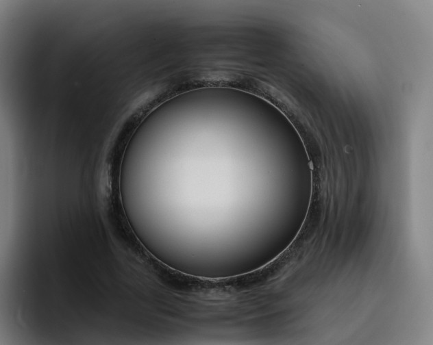 X0000094910731200712061048