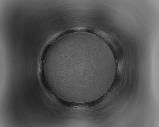 X0000094910732200712061048