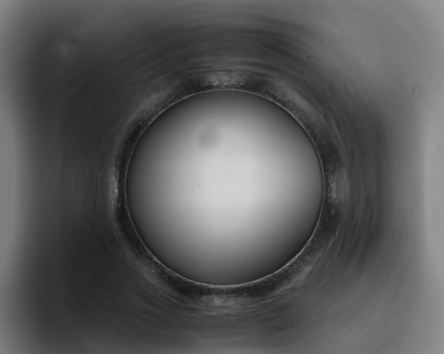 X0000094910733200712061048