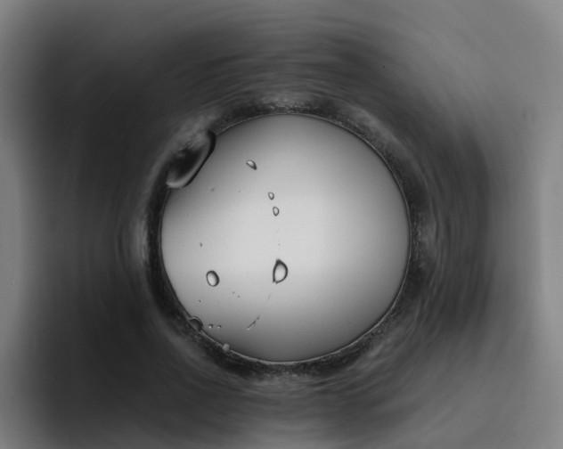 X0000094910734200712061048