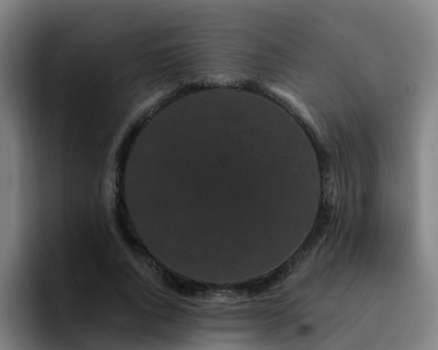 X0000094910736200712061048