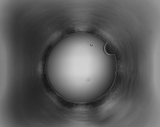 X0000094910738200712061048