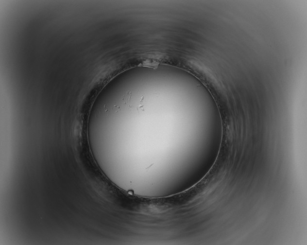 X0000094910739200712061048