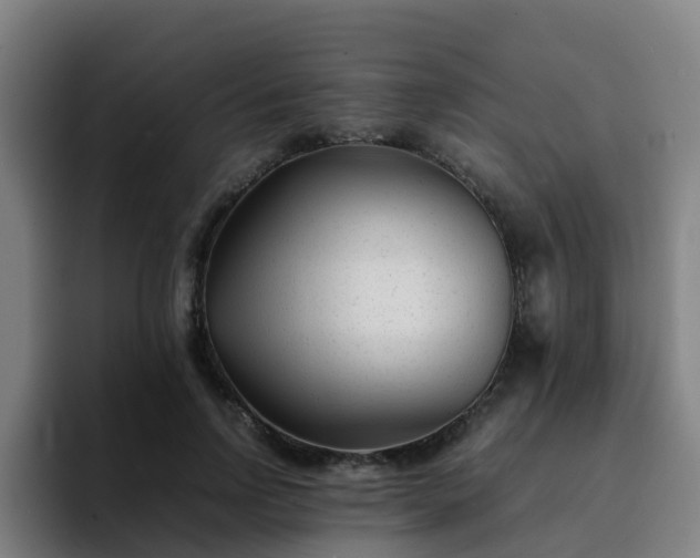 X0000094910742200712061048