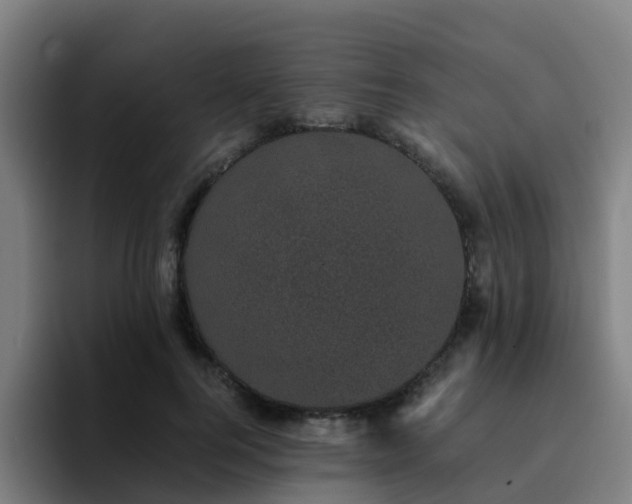 X0000094910744200712061048