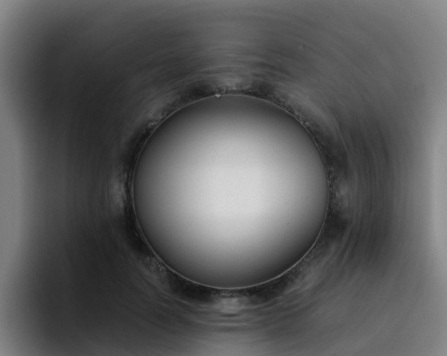 X0000094910746200712061048