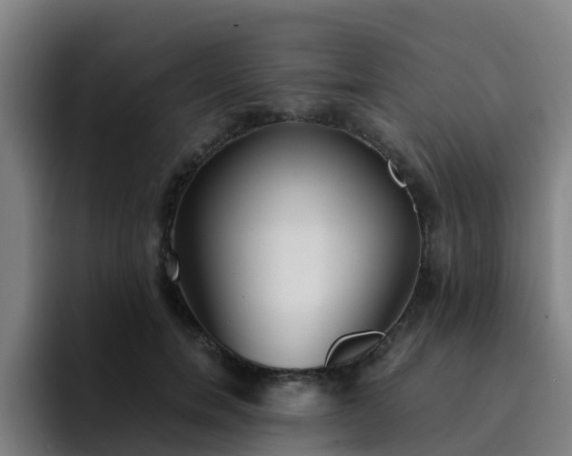 X0000094910750200712061048
