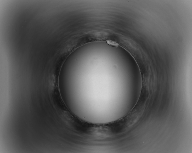 X0000094910752200712061048