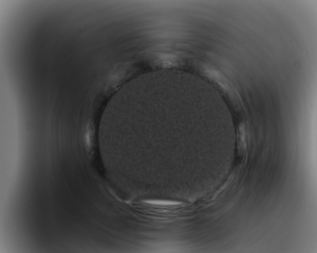 X0000094910760200712061048