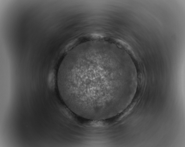 X0000094910762200712061048